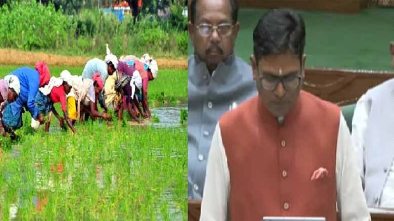 16-लाख-किसानों-ने-किया-रकबा-समर्पण,-विधानसभा-में-मंत्री-बघेल-ने-दी-जानकारी