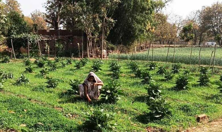 मेहनत-से-लिखी-सफलता-की-कहानी