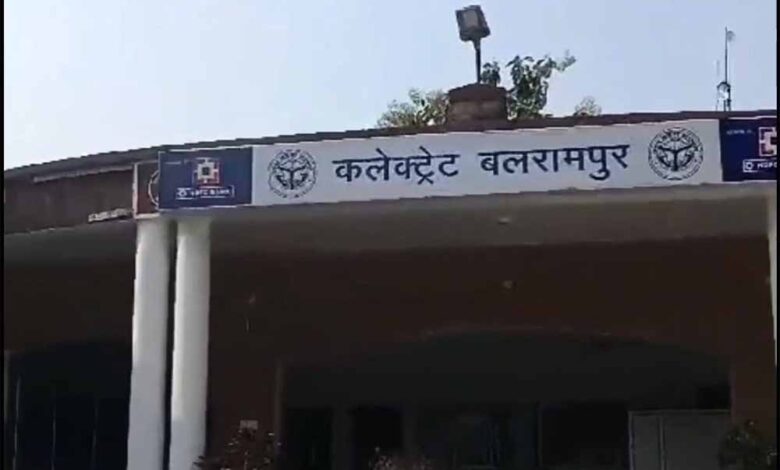 अवैध-अफीम-खेती-पर-एक्शन-का-असर:-बलरामपुर-में-58-पटवारियों-का-एक-साथ-तबादला,-प्रशासन-में-हड़कंप