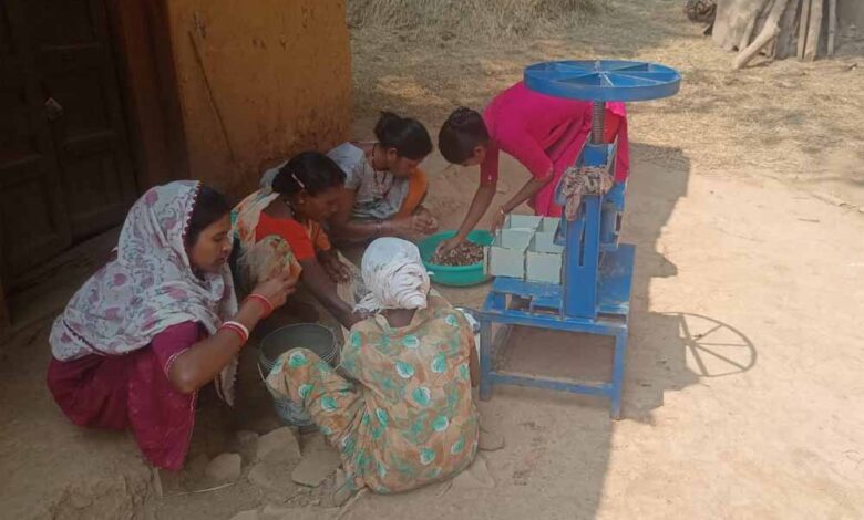 वनांचल-की-किस्मत-बदलने-वाली-फसल-साबित-हुई-इमली