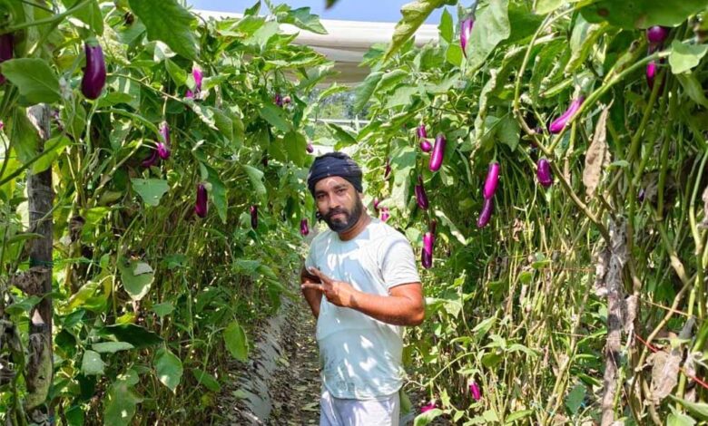 रासायनिक-उर्वरकों-का-कम-उपयोग-और-प्राकृतिक-व-जैविक-खेती-को-कर-रहें-प्रोत्साहित