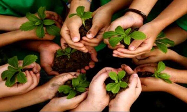 प्रकृति-संरक्षण-के-लिए-शिक्षकों-का-विशेष-प्रशिक्षण