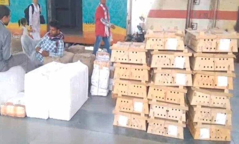 बर्ड फ्लू के डर के बीच बिलासपुर स्टेशन पर चूजों की खेप पहुंची, मचा हड़कंप