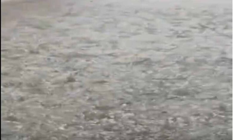 ग्वालियर-में-मौसम-का-यू-टर्न:-धूप-के-बाद-ओलों-की-मार,-‘बर्फबारी’-जैसे-नजारे-से-सहमा-शहर