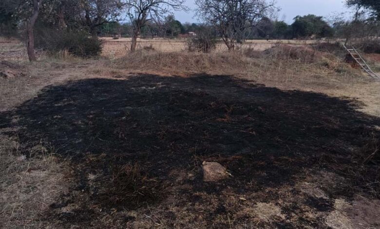 आग-का-कहर-किसान-की-फसल-जलकर-खाक