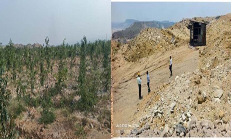 रायपुर-:-बंजर-डंप-क्षेत्र-से-हरा-भरा-जंगल-बनने-की-ओर-गेवरा-की-अनूठी-पहल