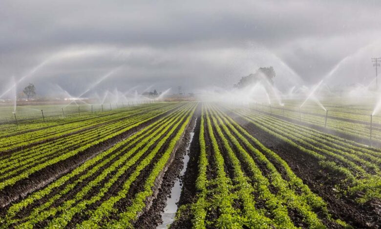 रायपुर-:-दो-सिंचाई-योजना-के-लिए-6.12-करोड़-रुपये-स्वीकृत