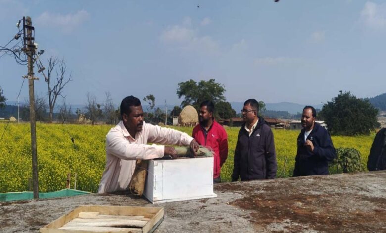 रायपुर : मधुमक्खी पालन: कम लागत में ज्यादा मुनाफे का बेहतर विकल्प