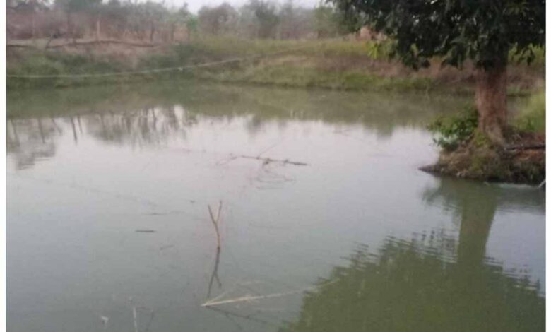 डबरी,-मछली-पालन-और-बहुफसली-खेती-से-बदली-तकदीर—सगनू-बने-गांव-के-प्रेरणास्रोत