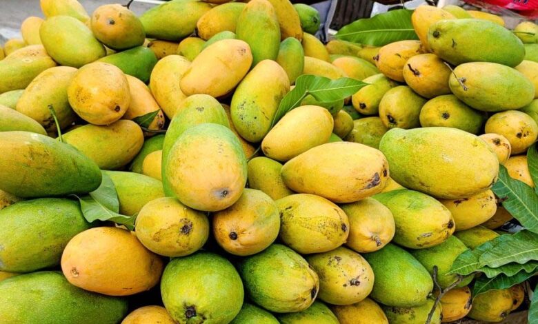 fssai-का-सख्त-निर्देश:-केमिकल-से-फल-पकाने-पर-होगी-कार्रवाई