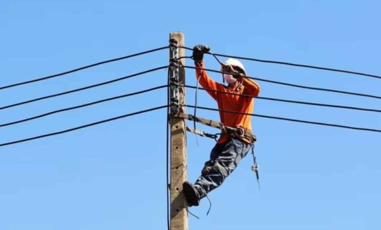 एमपी-में-10वीं-पास-युवाओं-के-लिए-सुनहरा-मौका:-बिजली-विभाग-में-3000-पदों-पर-निकली-भर्ती