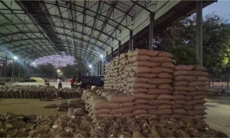 एक-लाख-45-हज़ार-71-किसानों-से-की-जा-चुकी-है-63-लाख-27-हजार-410-क्विंटल-गेहूँ-की-खरीदी-:-मंत्री-राजपूत