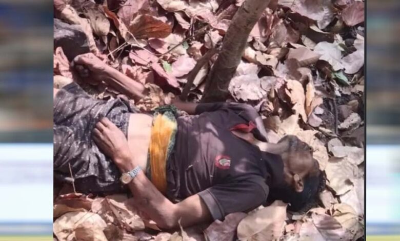 जंगल-की-खामोशी-में-गूंजी-चीख:-महुआ-बीनने-गए-ग्रामीण-की-हाथी-हमले-में-दर्दनाक-मौत