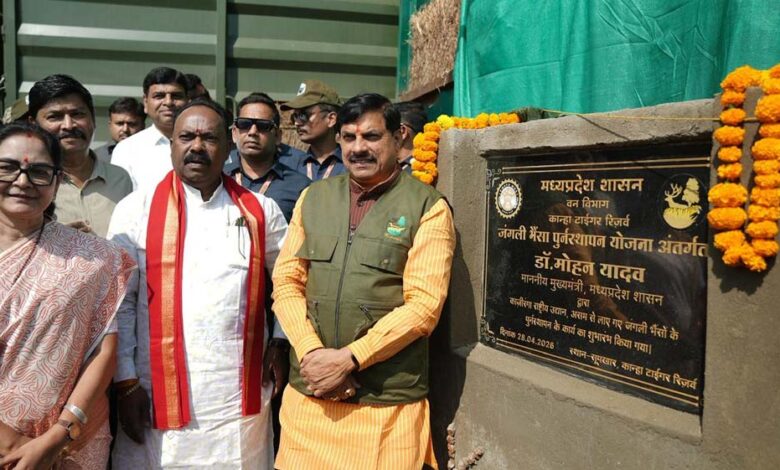 और-खूबसूरत-हुई-एमपी-की-वाइल्ड-लाइफ,-सीएम-डॉ.-मोहन-ने-रिलीज-किए-4-जंगली-भैसें,-ईको-सिस्टम-पर-होगा-इतना-असर