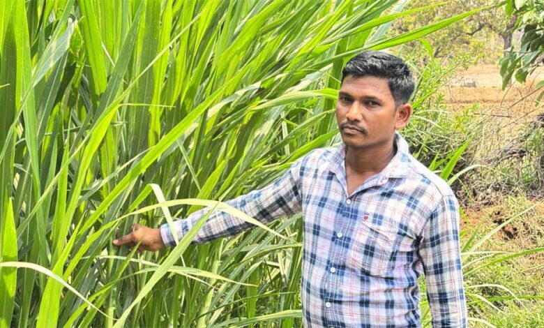 मजदूरी-की-बेड़ियां-तोड़-‘मल्टी-फार्मिंग’-के-नायक-बने-ललित-यादव
