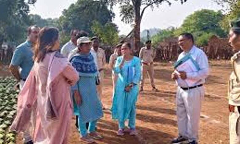 तेंदूपत्ता-लक्ष्य-पर-प्रशासन-सख्त:-वन-अधिकारियों-ने-फड़ों-का-किया-औचक-निरीक्षण