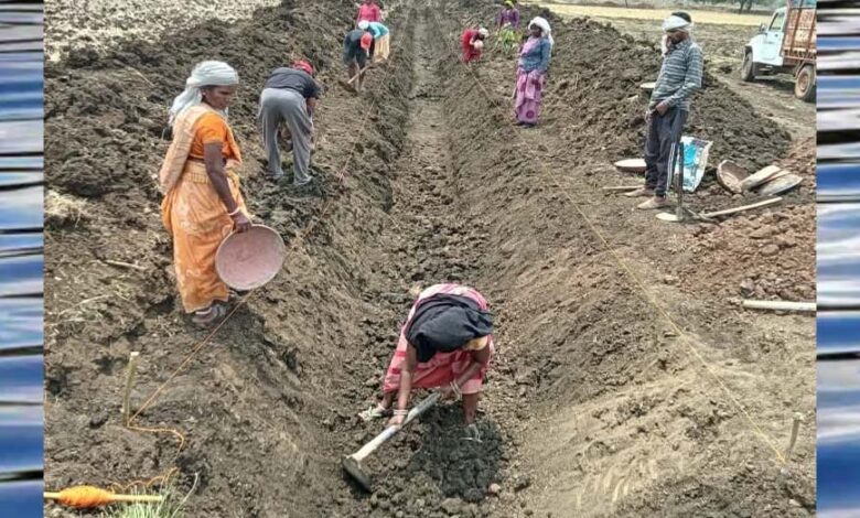 जल-गंगा-संवर्धन-अभियान-पुष्पराजगढ़-में-‘जल-गंगा-संवर्धन-अभियान’-से-हो-रहा-है-नहर-सुदृढ़ीकरण