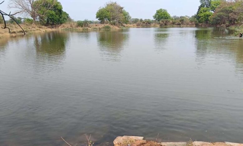 नहरों-से-सूखते-तालाबों-में-जलभराव:भीषण-गर्मी-से-बड़ी-राहत,-4755-तालाब-हुए-लबालब