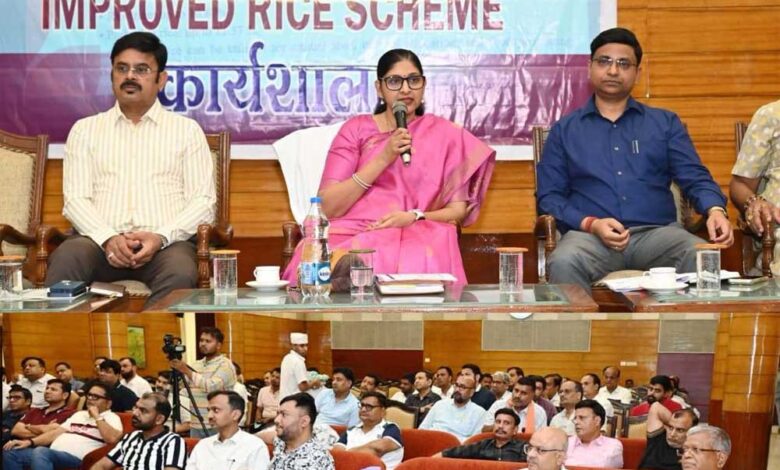 छत्तीसगढ़ में ‘इम्प्रूव्ड राईस स्कीम’ लागू करने की तैयारी तेज