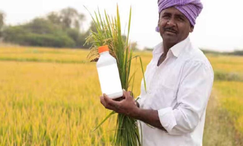 ’नैनो उर्वरकों के उपयोग से बेहतर उत्पादन और मृदा स्वास्थ्य को मिल रहा बढ़ावा-कृषक छेदीलाल’