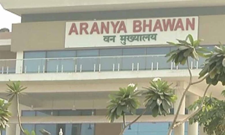 छत्तीसगढ़-वन-विभाग-में-बड़ा-फेरबदल,-चार-वरिष्ठ-ifs-अधिकारियों-को-मिली-नई-जिम्मेदारी