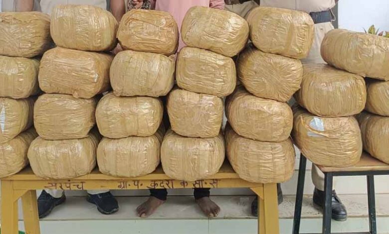 ओडिशा से राजस्थान जा रहा 1.44 करोड़ का गांजा पकड़ा, नाबालिग सहित 2 तस्कर गिरफ्तार