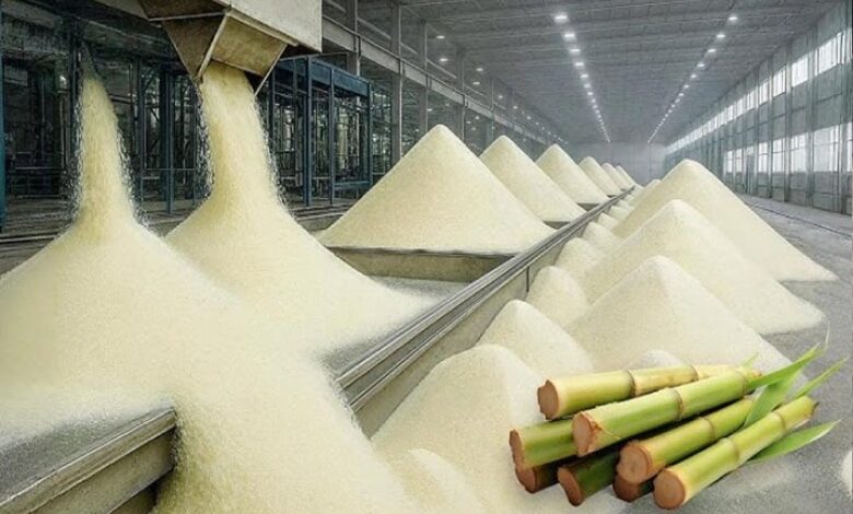 अल-नीनो और इथेनॉल की दोहरी मार! भारत के चीनी एक्सपोर्ट पर कई साल तक लग सकता है ब्रेक