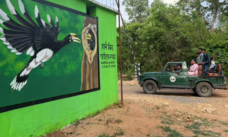 वन-मंत्री-केदार-कश्यप-की-पहल-से-उदंती-सीतानदी-टाइगर-रिजर्व-में-शुरू-होगी-हॉर्नबिल-सफारी