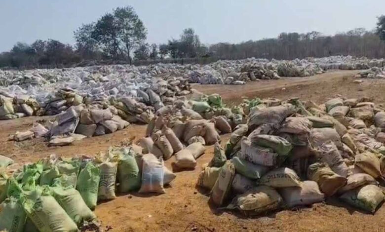bastar-में-उठाव-नहीं-होने-से-करोड़ों-की-धान-सड़ी,-किसानों-की-मेहनत-पर-फिरा-पानी