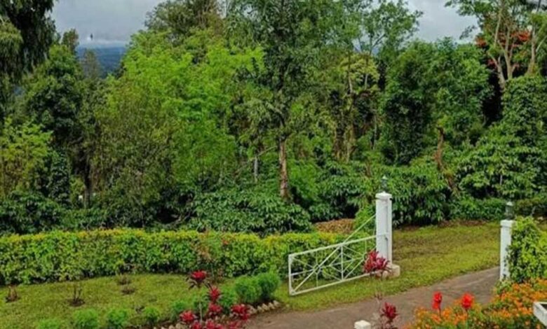 प्राकृतिक-सौंदर्य,-कॉफी-बागानों-और-जनजातीय-संस्कृति-की-अनूठी-पहचान-है-बैतूल-का-कुकरू-खामला